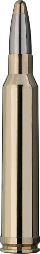 BALA RWS EVO 300 WIN 184GR - Imagen 3