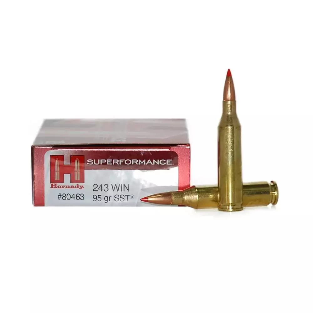 BALA HORNADY SST 243 WIN 95GR