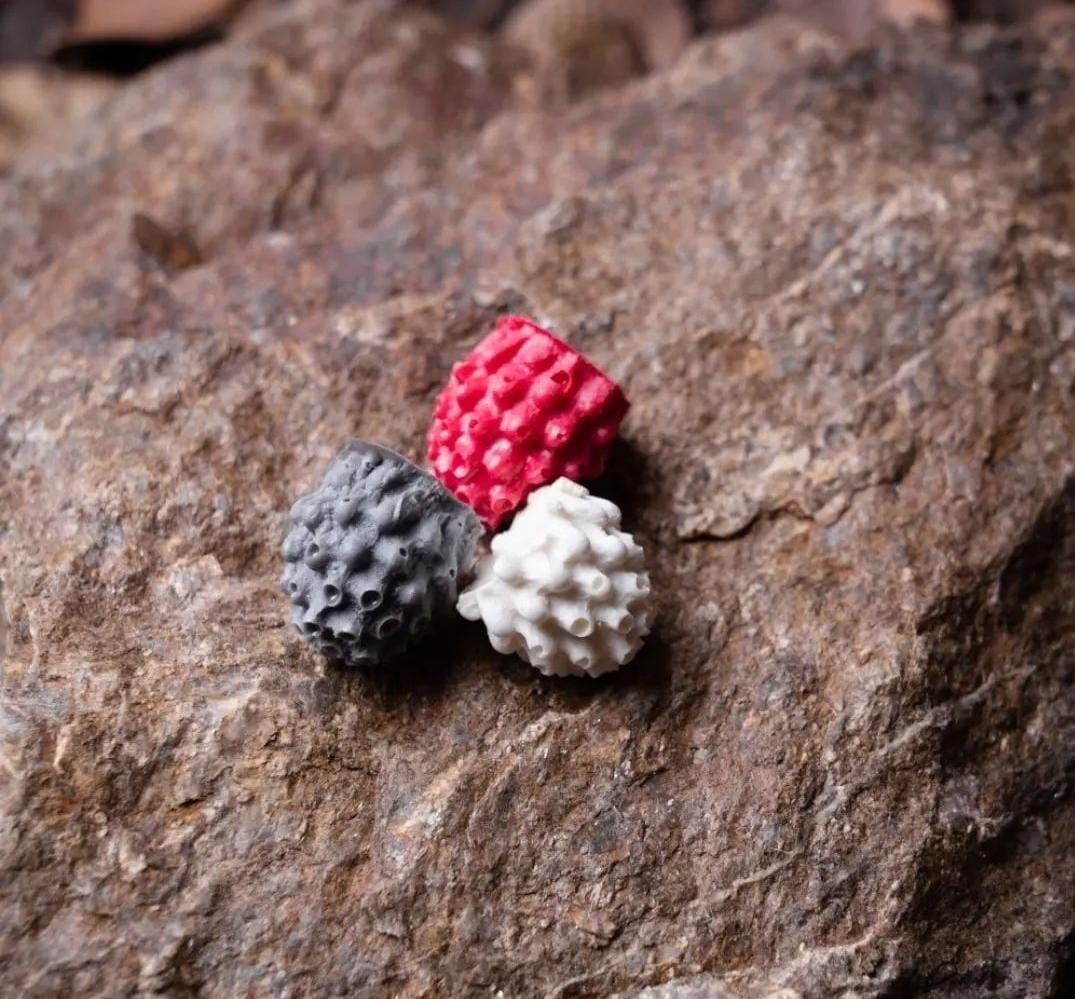 INFINITYBAITS POPUP MORA VARIADA - Imagen 2