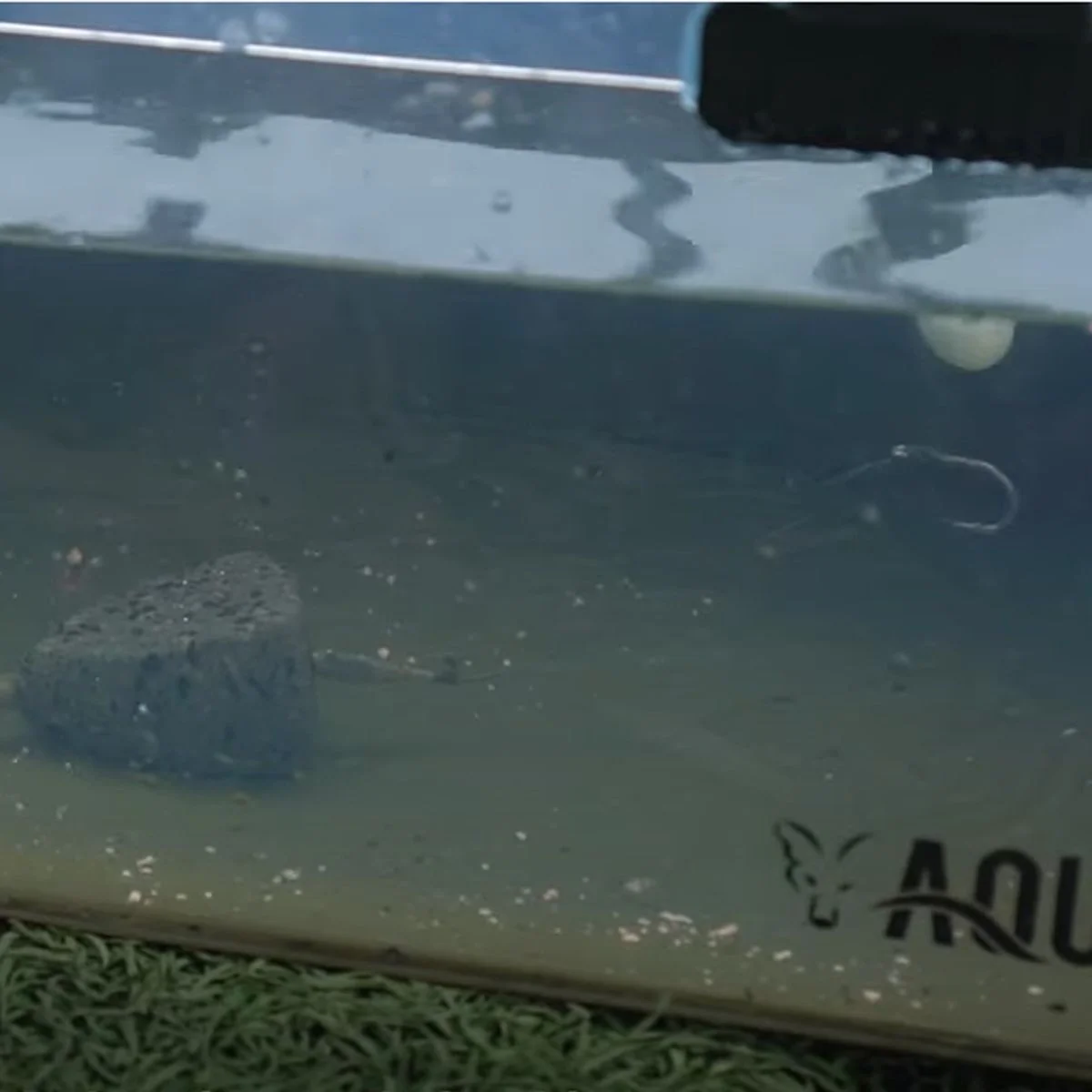 CUBO CAMOLITE EVA WATER/RIG FOX - Imagen 4