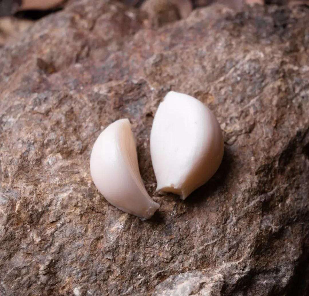 INIFINITYBAITS POPUP AJO