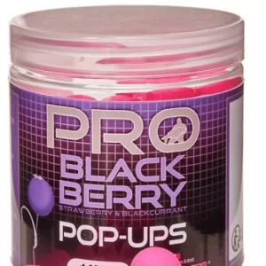 POP UPS 14MM BLACK BERRY STARBAITS