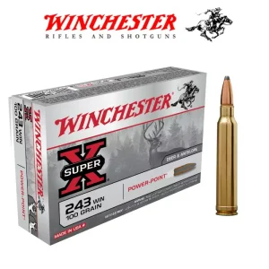 BALA WINCHESTER 243 POWER POINT 100GR