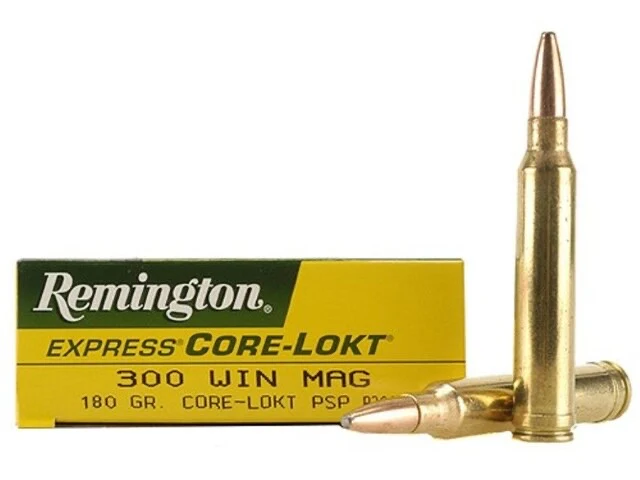 BALA REMINGTON 300WIN MAG 180GR CORE-LOKT PSP