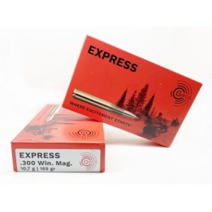 BALA GECO ESXPRESS 300 WIN 165GR PLOMO