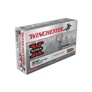 BALA WINCHESTER  POWER POINT 300 WIN MAG 180GR