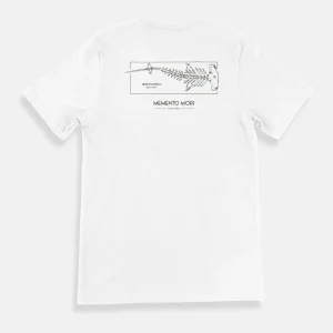 Camisa Sphyrna lewini (Tiburón Martillo) | Memento Mori