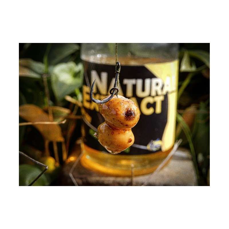 NATURAL EXTRACT LIQUIDO BETAINA 500ML PRO ELITE BA - Imagen 3