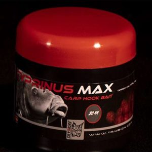 HOOK BAIT 20MM TRYBION 220GR