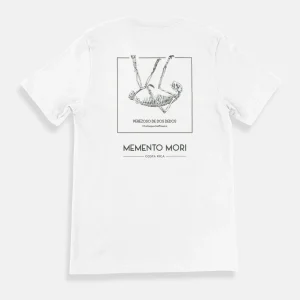 Camisa Choloepus hoffmanni (Perezoso de Dos Dedos) | Memento Mori